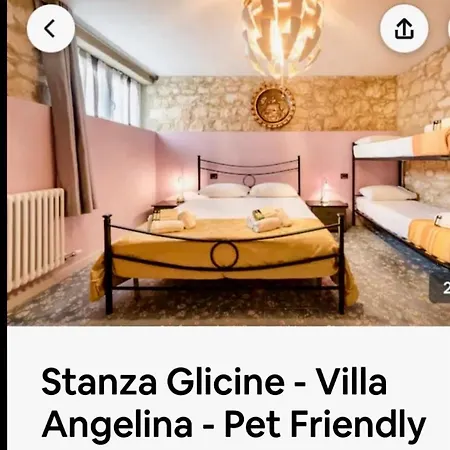 Angelina Barana 8 * Verona
