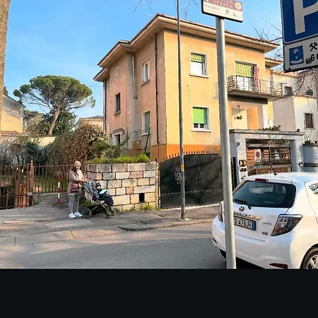 Angelina Barana 8 * Verona